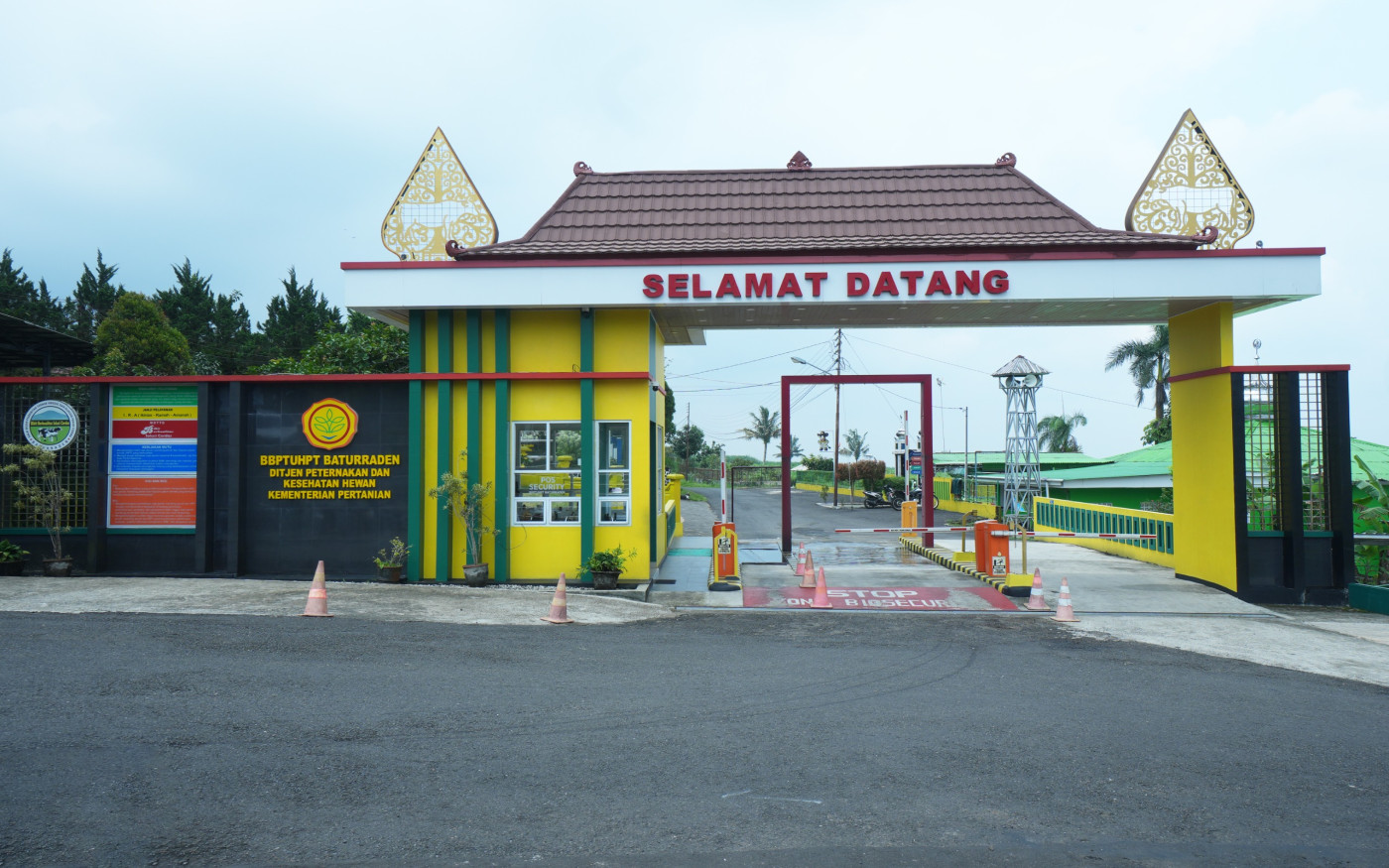Blog Image