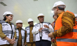 Pengembangan Pertanian Lewat Keunggulan Komparatif Wilayah, Mentan Amran Akselerasi Pengembangan Kelapa di Malut