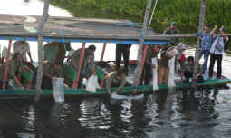 FAO dan KKP Memulihkan Populasi Arowana yang Terancam Punah di Danau Haleung dan Melawen, Kalimantan Tengah