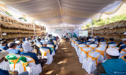 Panen Raya Benih Bawang Putih, Langkah Konkrit Menuju Swasembada Bawang Putih Nasional