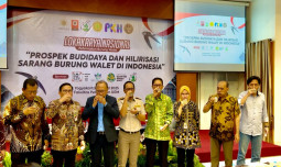 Kementan Dorong Hilirisasi Sarang Burung Walet Nasional