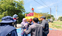 Petani Muda Brebes Jadi Inspirasi Negara Malaysia, Kementan Perkuat Kolaborasi