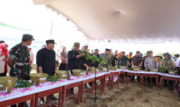 Meriah Antusias Petani, Mentan SYL Pimpin Langsung Pembuatan Biosaka di Batola