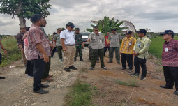 Wujudkan Swasembada Pangan, Kalsel Dukung Program Andalan Kementan