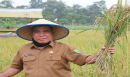 Petani Riau Sambut Tambahan Pupuk Subsidi