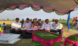 Panen Padi Di Merauke, Komisi IV DPR RI Apresiasi Petani Distrik Tanah Miring