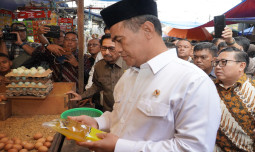 Minyak Goreng Tak Boleh Langka dan Mahal, Indonesia Produsen Utama Sawit Dunia