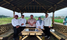 Kementan Pagari Kebun Pemeriksaan Substansif di Muara Bogor Untuk Pengujian Varietas