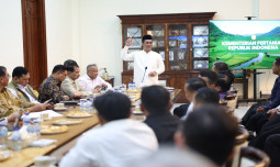 Mentan Amran Percepat Penyaluran SPHP Jagung, Peternak Lebih Mudah Akses Pakan