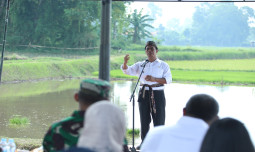 Mentan Minta Pulau Madura Jadi Kekuatan Swasembada dan Lumbung Pangan Dunia