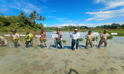 Menuju Swasembada Pangan, Kementan Lakukan Gerakan Tanam Serempak di Kabupaten Pidie