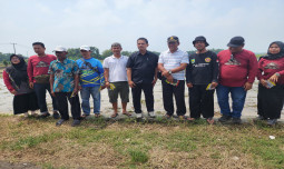 Turun Ke Subang, Kementan Bantu Mensolusi Petani