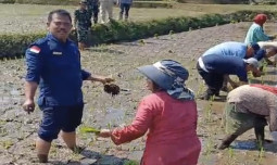 Irigasi Perpompaan Berteknologi Energi Panel Surya Membawa Berkah Petani Cianjur