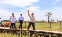 Presiden Prabowo Pimpin Panen Serentak di 14 Provinsi, Produksi Beras Tertinggi dalam 7 Tahun: Petani Adalah Pahlawan Bangsa