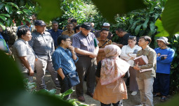 Pengembangan Sistem Pertanian Kabupaten Subang