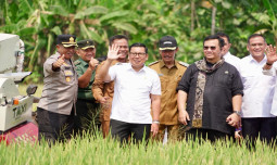 Kejar target 35 juta ton, Plt Mentan Panen Dan Tanam Padi Di Sukoharjo