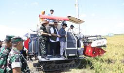 Panen Raya Nasional Digelar Serentak, Pulang Pisau Tunjukkan Bukti Swasembada Semakin Dekat