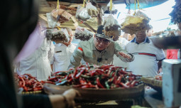 Wamentan Sidak Pasar di Manokwari Jelang Nataru, Minta Pemda Jaga Disparitas Harga Pangan