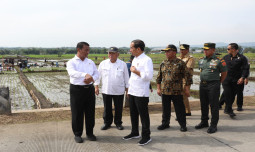 Presiden Pastikan Ketersediaan Pupuk Subsidi Aman