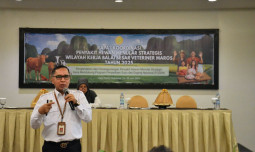 Strategi Sunyi Kementan Menjinakkan Penyakit Hewan Menular