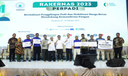 Supaya Tak Impor Lagi, Plt Mentan Gandeng Perpadi Kejar Target Produksi Beras 35 Juta Ton Tahun 2024