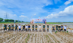 Mentan Amran dan Panglima TNI Perkuat Kolaborasi Wujudkan Swasembada Pangan