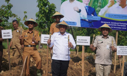 Kementan Perkuat Hilirisasi dan Produktivitas Tebu Menuju Swasembada Gula Nasional