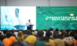 Penyuluh Pertanian Garda Terdepan Transformasi Pertanian Indonesia