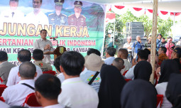 Banyak Petani Jeruk Kalbar Naik Haji, Mentan Bahagia Kebijakannya Sukses