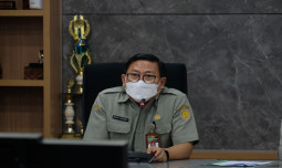 Langkah Kementan Menjaga Stabilitas Pasokan dan Harga Ayam Tingkat Peternak 