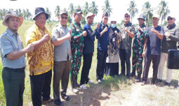 Kementan Pacu Percepatan Perluasan Areal Tanam di Provinsi Kalimantan Selatan