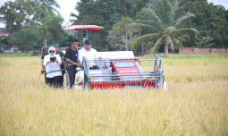 Geram Harga Anjlok Dibawah HPP, Wamentan Sudaryono: 2 Hari Lagi Bulog Harus Serap Gabah Petani!