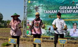 Genjot Produksi Pangan, Kementan Gelar Tanam Serentak di 26 Provinsi