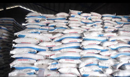 Kementan Tegaskan Stok Pupuk Subsidi di Jombang Cukup, 1 Januari 2025 Sudah Bisa Ditebus