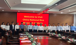 Kementan Jalin Kerjasama Teknologi Pertanian dengan CNRRI, Lembaga Riset Terbesar di China