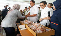 Wamentan Sudaryono: Hilangkan FOMO Kenaikan Harga Pangan Jelang Ramadhan Hingga Lebaran