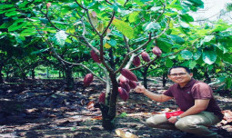 Kementan Dorong Pelaku Usaha Perkebunan Perkuat Branding Produk Perkebunan Bernilai Tambah