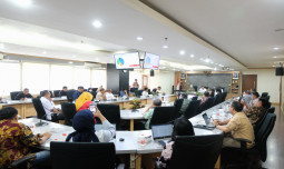 Ini Langkah Jitu Kementan Lindungi Peternak dari Maraknya Daging Domba Impor