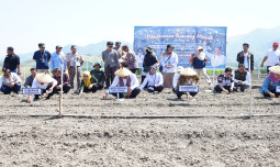 Mentan Amran Canangkan Majene Jadi "Kabupaten Bawang" di Sulawesi Barat, Pasok Kawasan Timur Indonesia