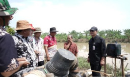 Dirjen PSP Kementan Tinjau Sarana Peningkatan Produktivitas Pertanian Indramayu dan Cirebon