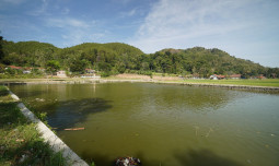 Mentan Amran: Percepat Lima Strategi Utama Mitigasi Kekeringan Hadapi El Nino