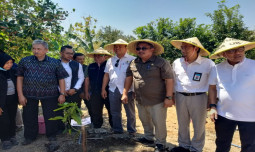 Kolaborasi Alumni UB dan Kementan Gencarkan Penanaman Buah Unggul Tropis