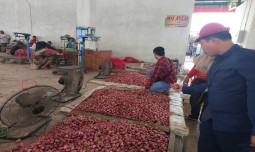 Mengenal KAD, Cara Taktis Amankan Ketersediaan Bawang Merah