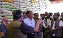 Gudang Penuh, Stok Melimpah! Cadangan Beras Nasional Capai 4,5 Juta Ton