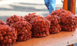 Jelang Idul Adha, Kementan Gelar Aksi Promosi Cabai dan Bawang Merah Harga Petani