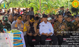 Ini Solusi Darurat Kementan Atasi Dampak Banjir Di Pati