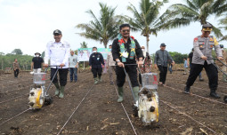 Kementan Dorong Upaya Memperlambat Konversi Lahan Pertanian