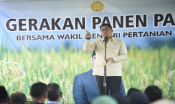 Wamentan Sudaryono: Bantul Konsisten Produksi Padi Terbaik Nasional