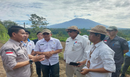 Padi Gogo: Simbol Keteguhan Petani Bali Melawan Kekeringan