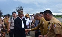 Hari Pertama Kerja, Mentan Tancap Gas Cetak Sawah 500 ribu Ha di Merauke